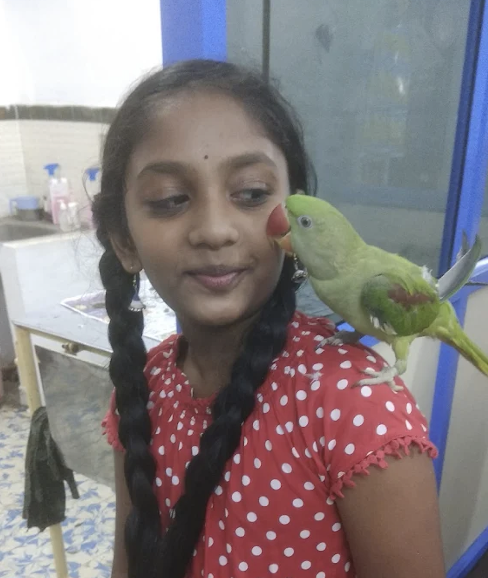 Young pet parent with her Indian ringneck parrot at the clinic
