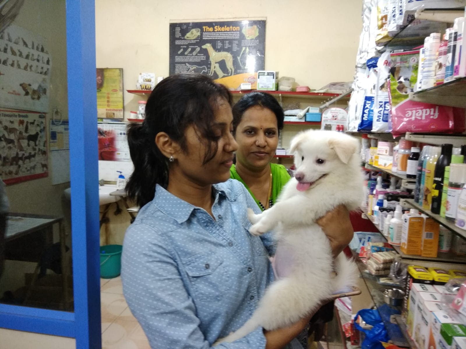 Happy white pup with pet parent and staff at the clinic